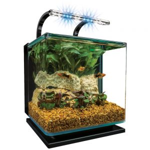 marineland contour glass aquarium kit