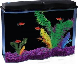 api aquawave aquarium kit