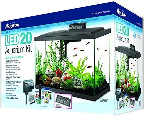 Best 20 Gallon Fish Tanks