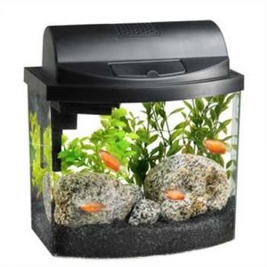 aqueon mini bow 2.5 gallon desktop aquarium kit