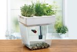 back to the roots water garden fish tank s