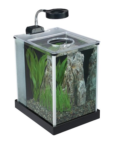 Best 2 Gallon Fish Tanks