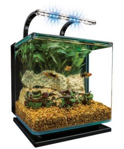 marineland contour glass aquarium kit 2.5 gallon
