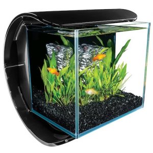 marineland silhouette square glass aquarium kit