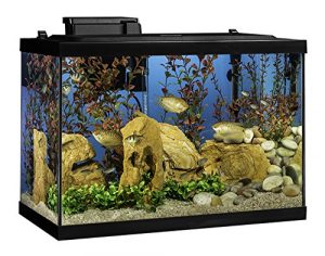 tetra 20 gallon aquarium kit m