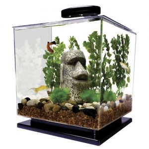 tetra cube aquarium 3 gallon