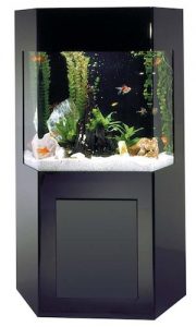 aquacustom 50 gallon shadow box aquarium