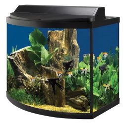 aqueon 36 gallon deluxe aquarium kit