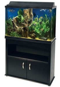 aqueon 45 gallon aquarium ensemble