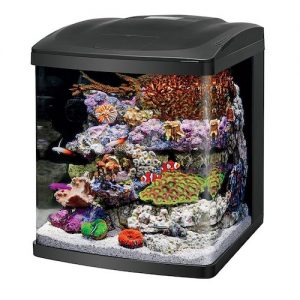 coralife fish tank led biocube aquarium starter kits 16 gallon