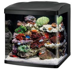 coralife fish tank led biocube aquarium starter kits