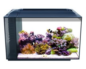 fluval evo aquarium all in one kit 13.5 gallons