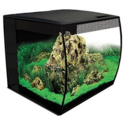 fluval flex 57 - 15 gallon nano glass aquarium kit