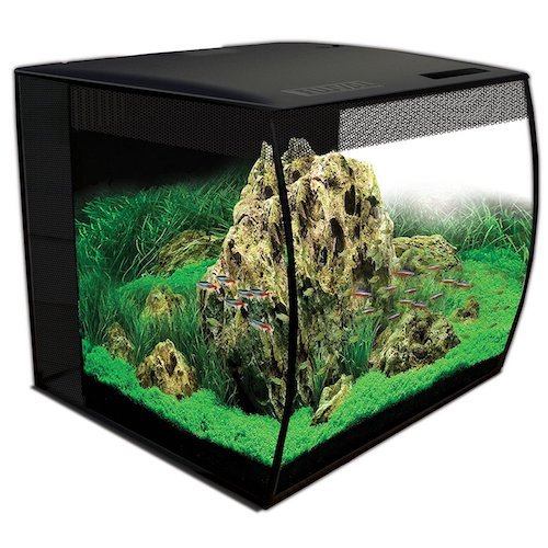 Best 15 Gallon Fish Tanks