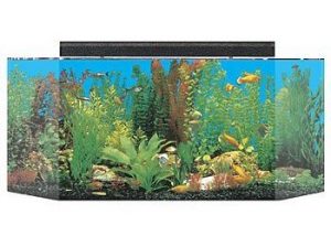 seaclear 26 gallon flat back hexagon acrylic aquarium combo set