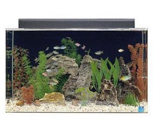 seaclear 29 gallon show acrylic aquarium combo set