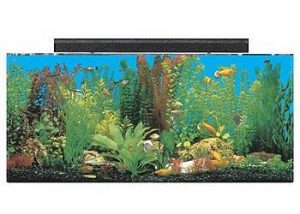 seaclear 30 gallon show acrylic aquarium combo set