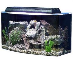seaclear 36 gallon bowfront acrylic aquarium combo set