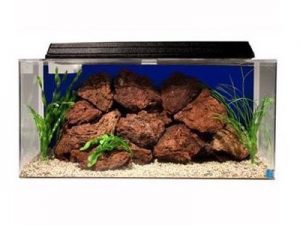 seaclear 50 gallon system ii acrylic aquarium
