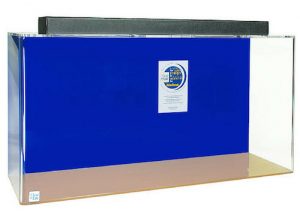 acrylic rectangle aquarium 60 gallon blue