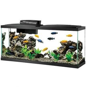 aqueon standard glass aquarium tank 55 gallon