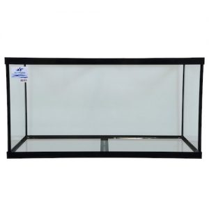 Beautiful 75 Gallon Fish Tanks The Family Or Office Will Love 2020,How To Grill Tuna Steaks In Foil
