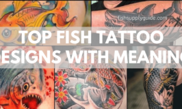 fish tattoo designs ideas and inspiration