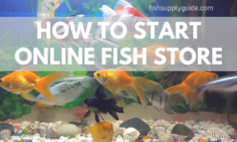 how to start a fish ecommerce online store