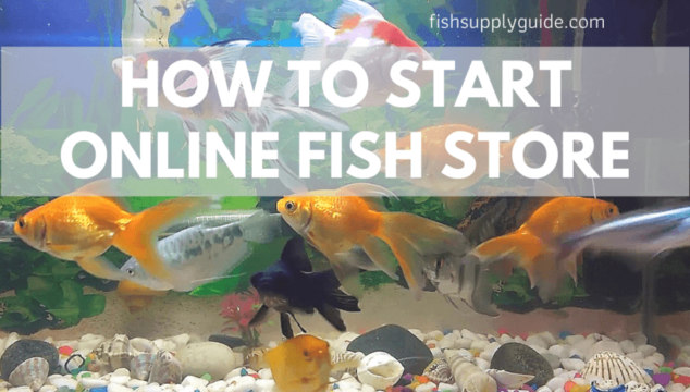 how to start a fish ecommerce online store