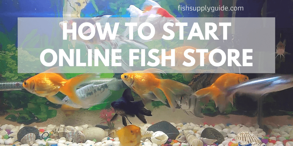 aquarium online store